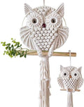 Owl Macrame Wall Hanging, Bohemian Hand Woven Boho Tapestry Owl Macrame Wall Art Decor for Living Room Office Bedroom Home Decor Small Large Small