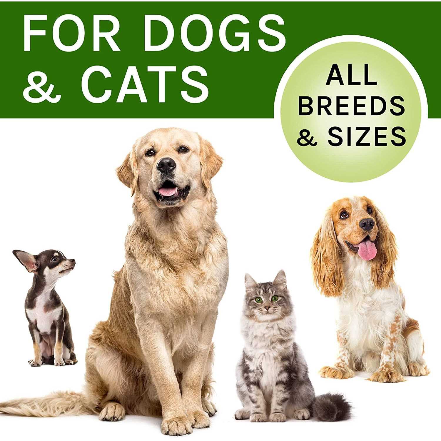 Herbal Cough Relief Drops for Dogs & Cats k7m