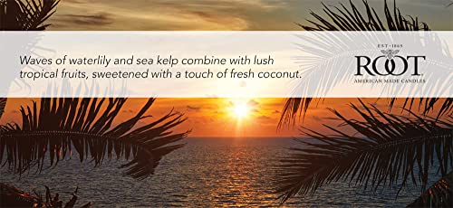 Scented Beeswax Blend Candle, 4 oz, Citron & Bergamot k7