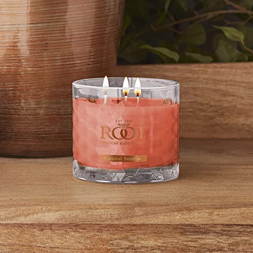 Scented Beeswax Blend Candle, 4 oz, Citron & Bergamot k7