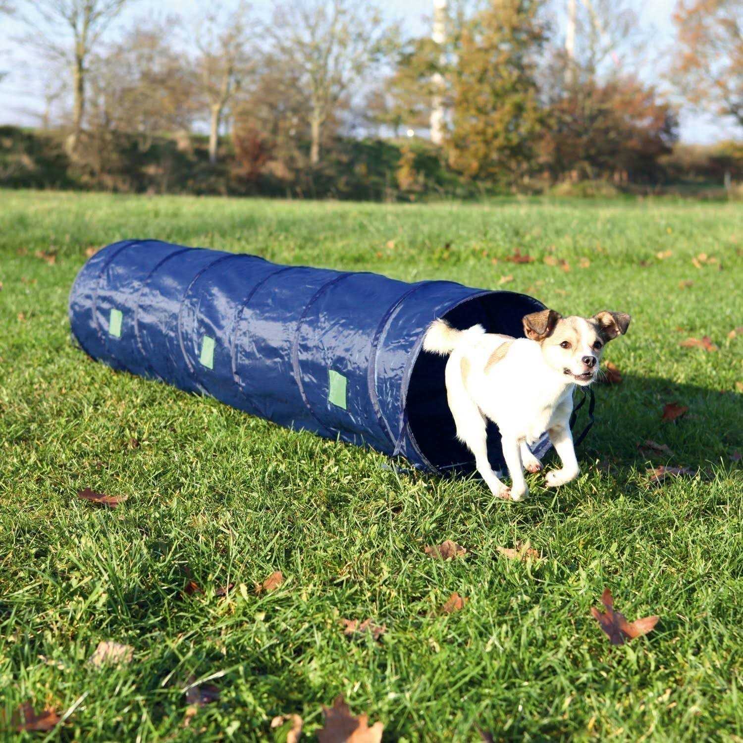 Agility Tunnel for Pets k7m