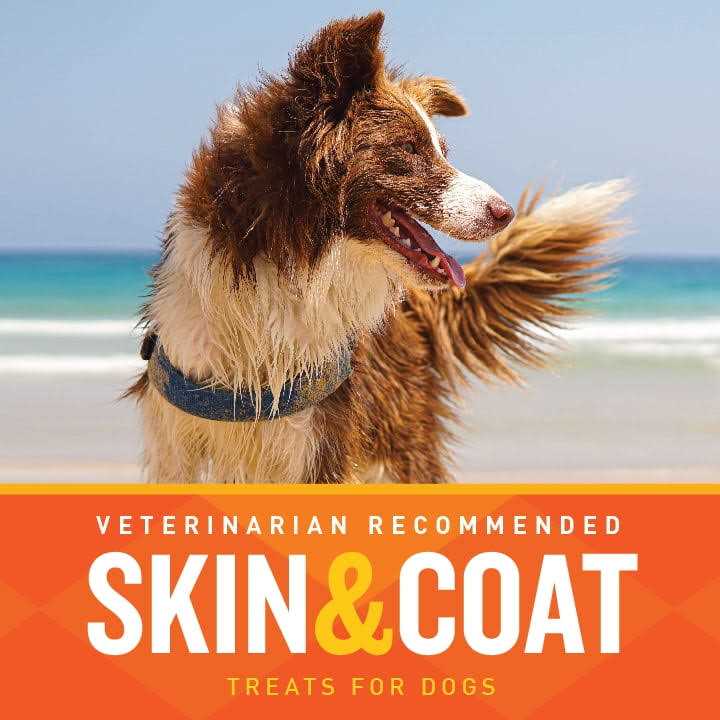 Dog Skin Coat Soft Chews a7