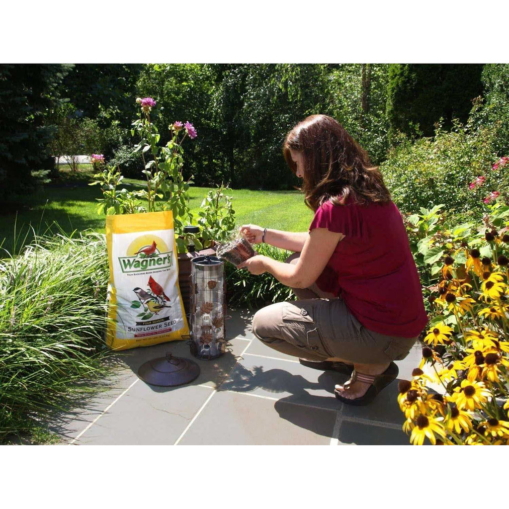 Black Oil Sunflower Seed for Pets k7m