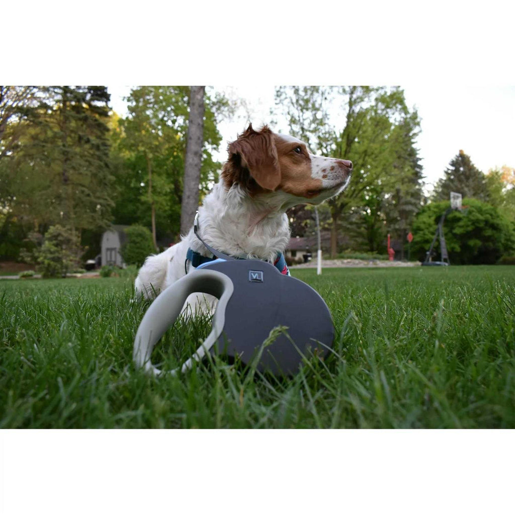 Reflective Retractable Tape Leash a7