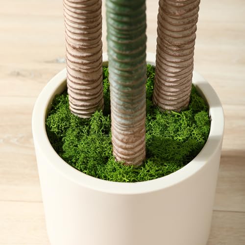 Artificial Dracaena Tree 5ft with White Planter Indoor Floor Plant k7m