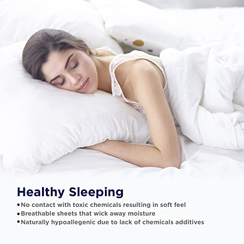 Egyptian Cotton Queen Sheet Set 4PC Sateen Weave Deep Pocket White k7