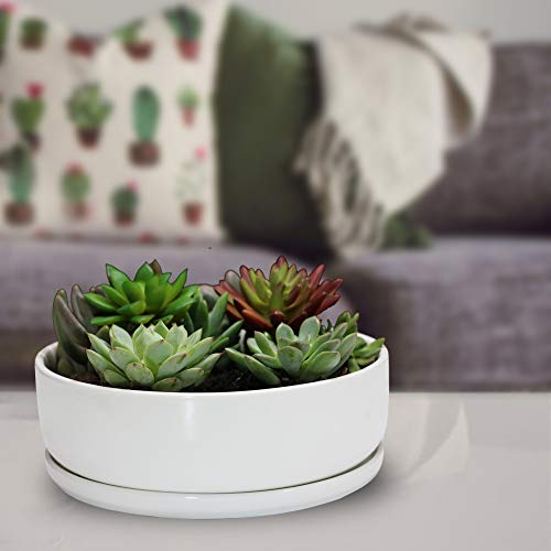 White Ceramic Succulent Planter with Saucer k7