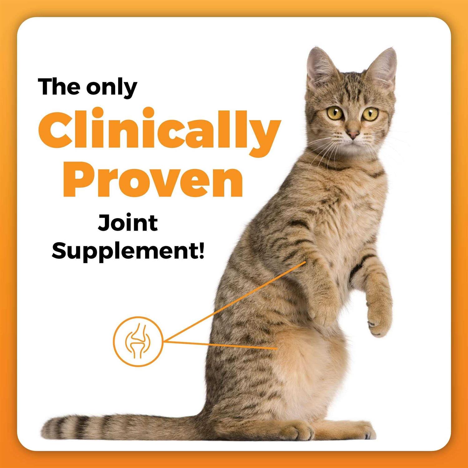 Cat Hip & Joint Support Chews k7