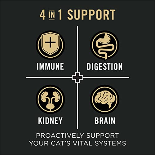Senior Cat Food Salmon and Rice Dry Formula 5 lb Bag k7