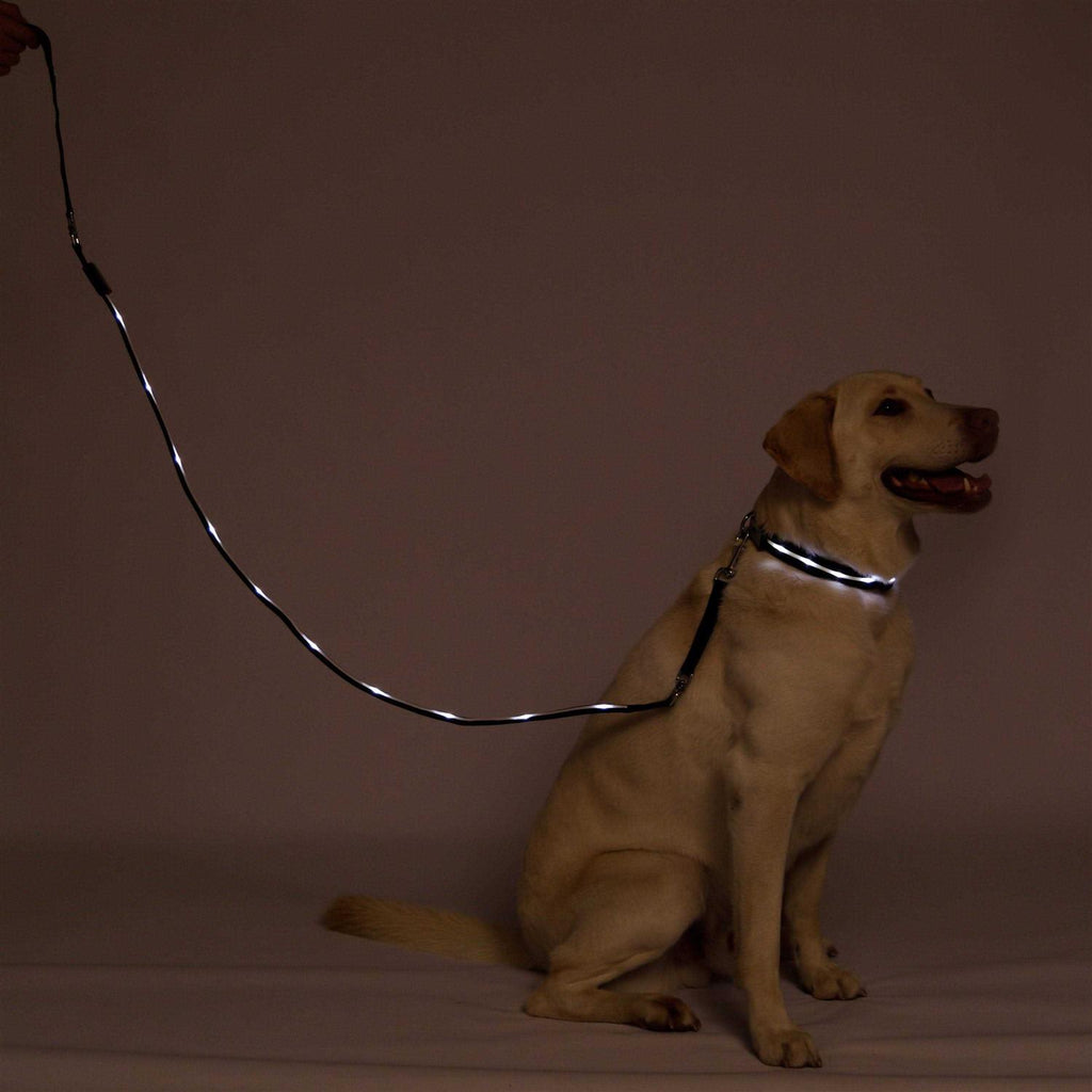 LED Dog Leash USB Rechargeable Flashing Light k7p