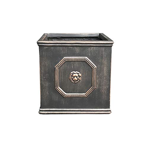 Kante Square Lion Head Concrete Planter, Classic English Style Plant Pot with Drainage Hole and Rubber Plug for Indoor Outdoor Garden Patio Home, 10.2"x10.2"x 10.2" Antique Gray