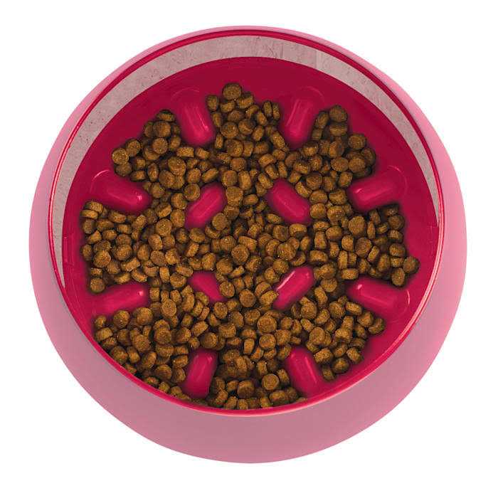 Slow Feeder Dog Bowl Interactive Rocking k7p
