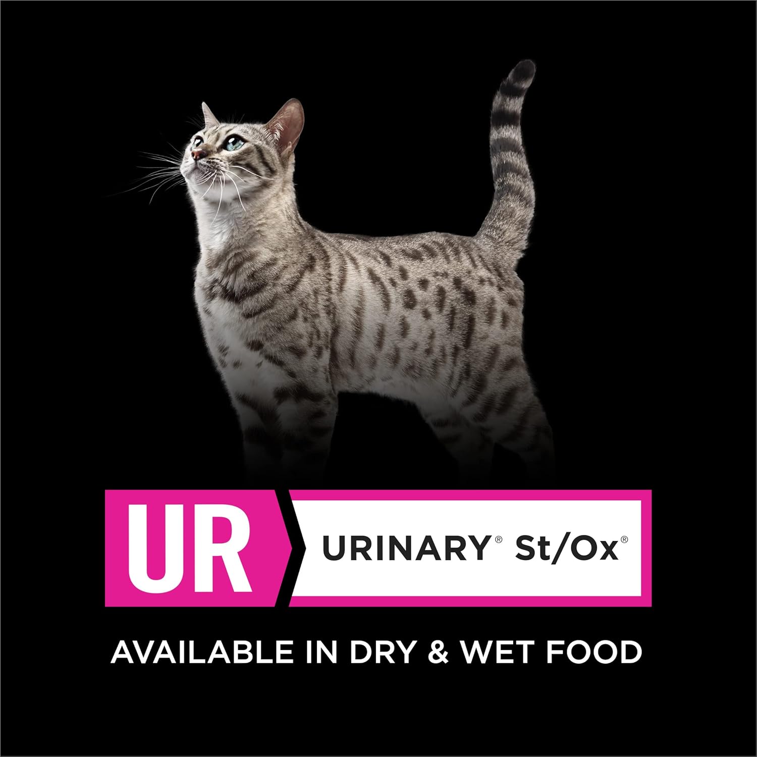 Cat Food Urinary Formula Wet 24 Cans a7