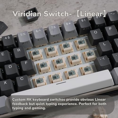RK61 Plus Wireless Gaming Keyboard 60% Mechanical RGB Hot Swappable Pc
