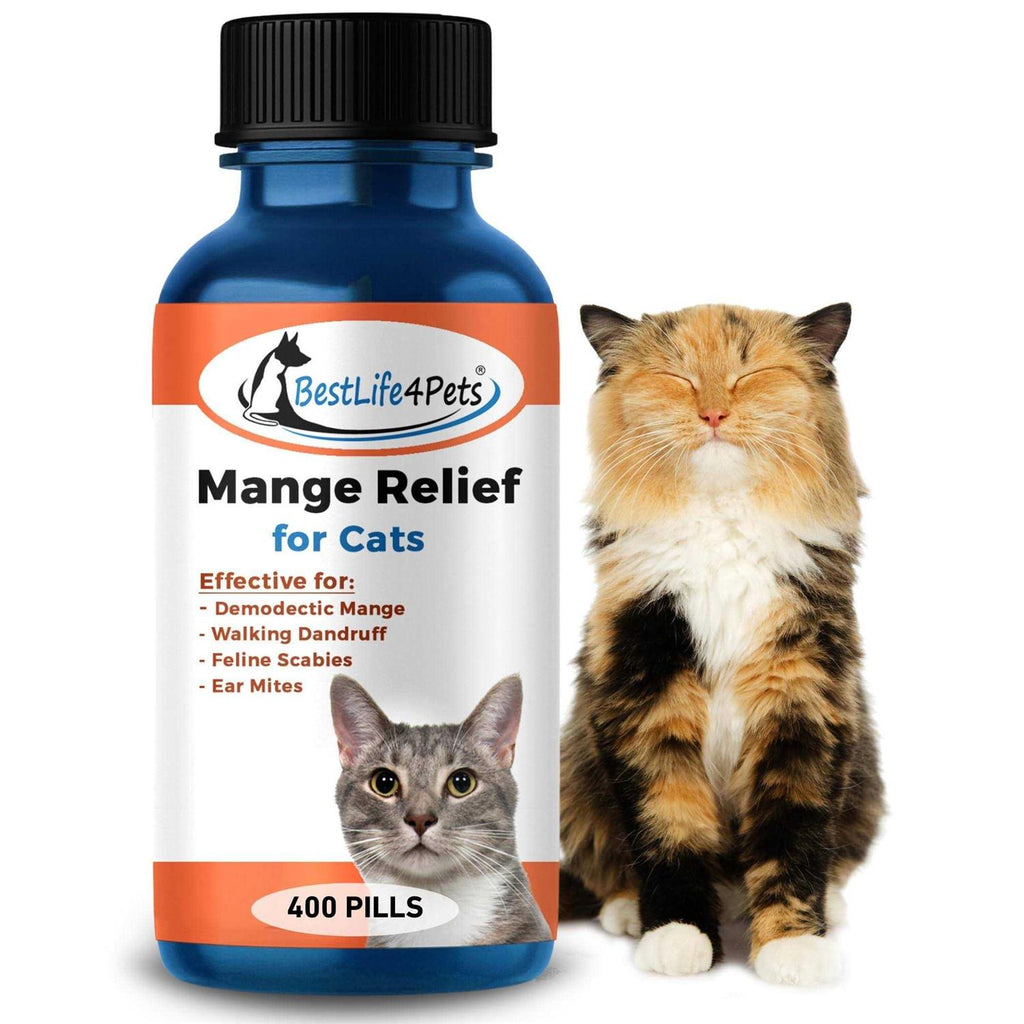 Cat Ear Mites Itch Relief Supplement k7p