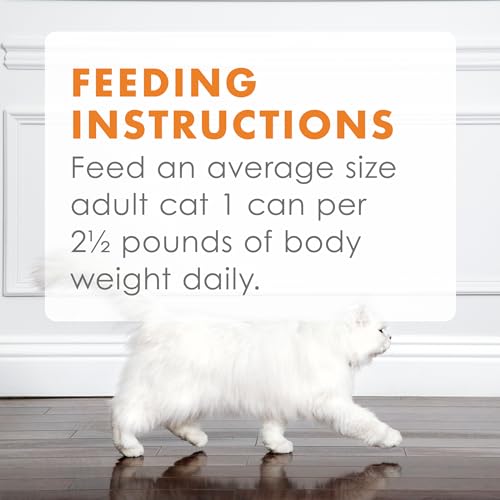 Wet Cat Food Variety Pack Poultry & Beef 45 Cans k7