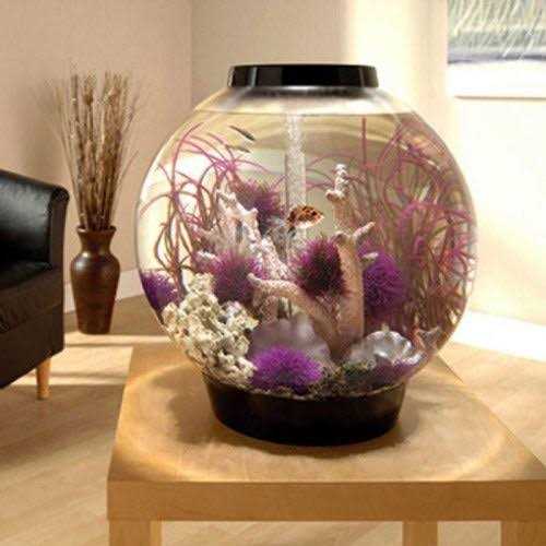 Aquarium with LED lighting 8k