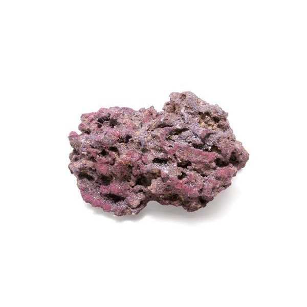 Life Rock pet supplies k7a