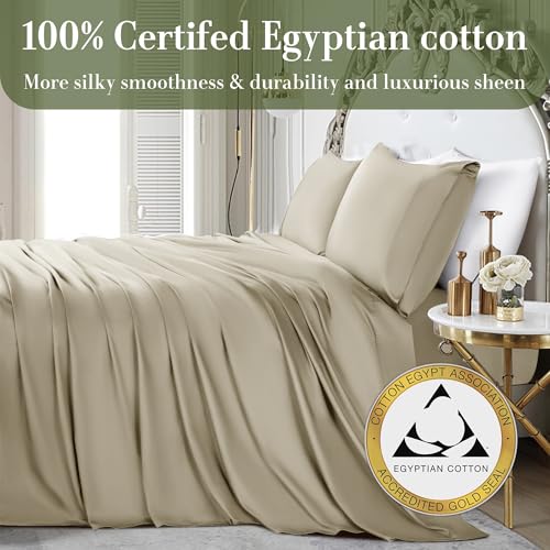100% Egyptian Cotton Queen Size Sheets Set 1000 Thread Count Cooling Bedding 4 Piece Dark Grey a7