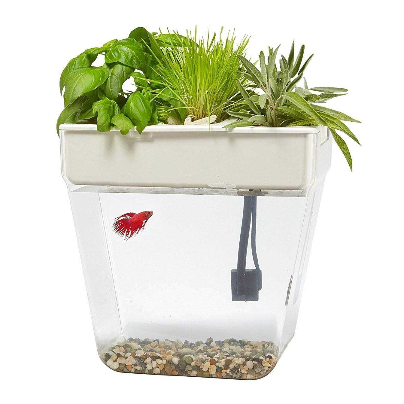 Water Garden Kit 7a