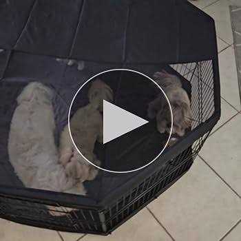 Dog Playpen 8 Panels Foldable Metal with Top Cover and Bottom Pad k7m