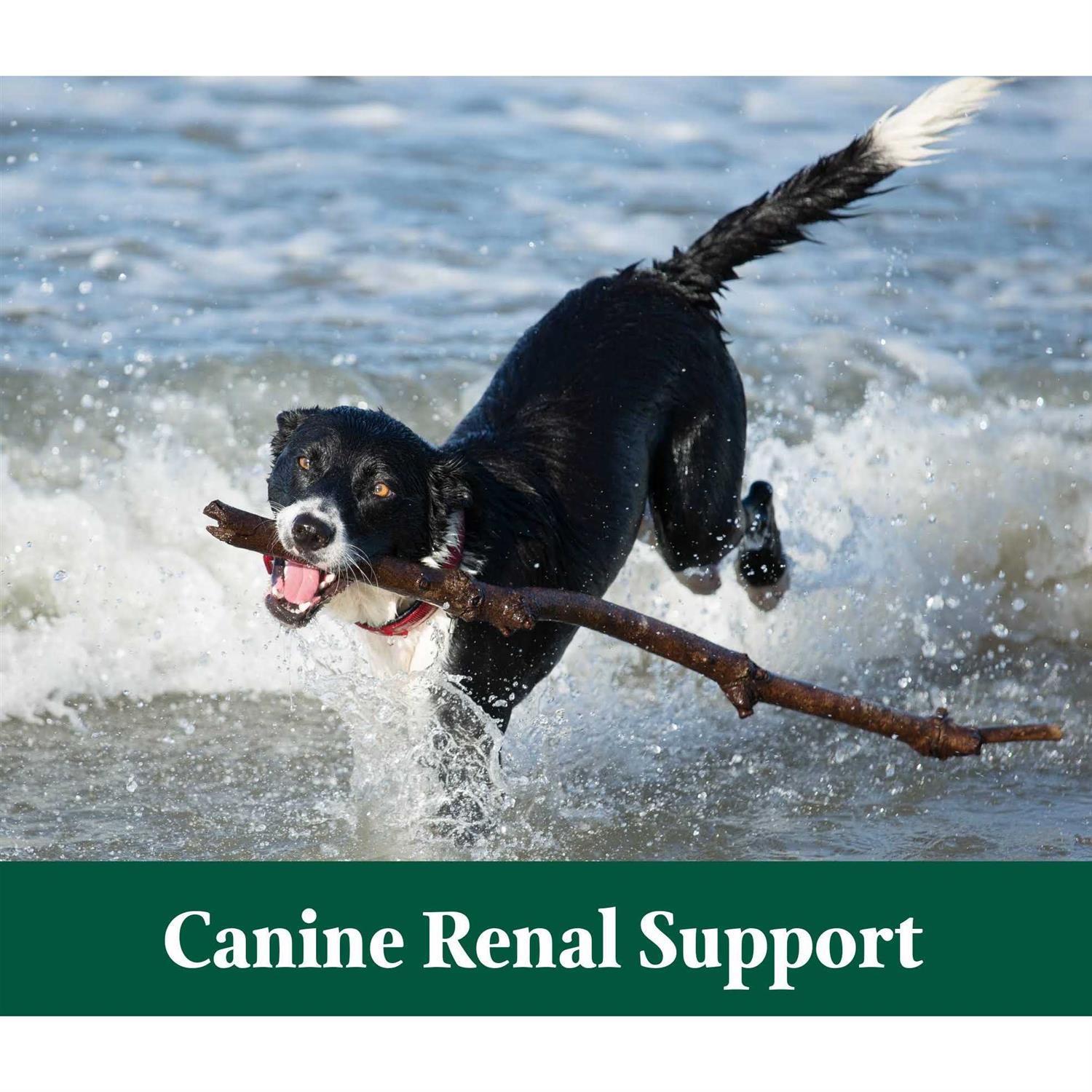 Canine Renal Support 3.9 oz k7