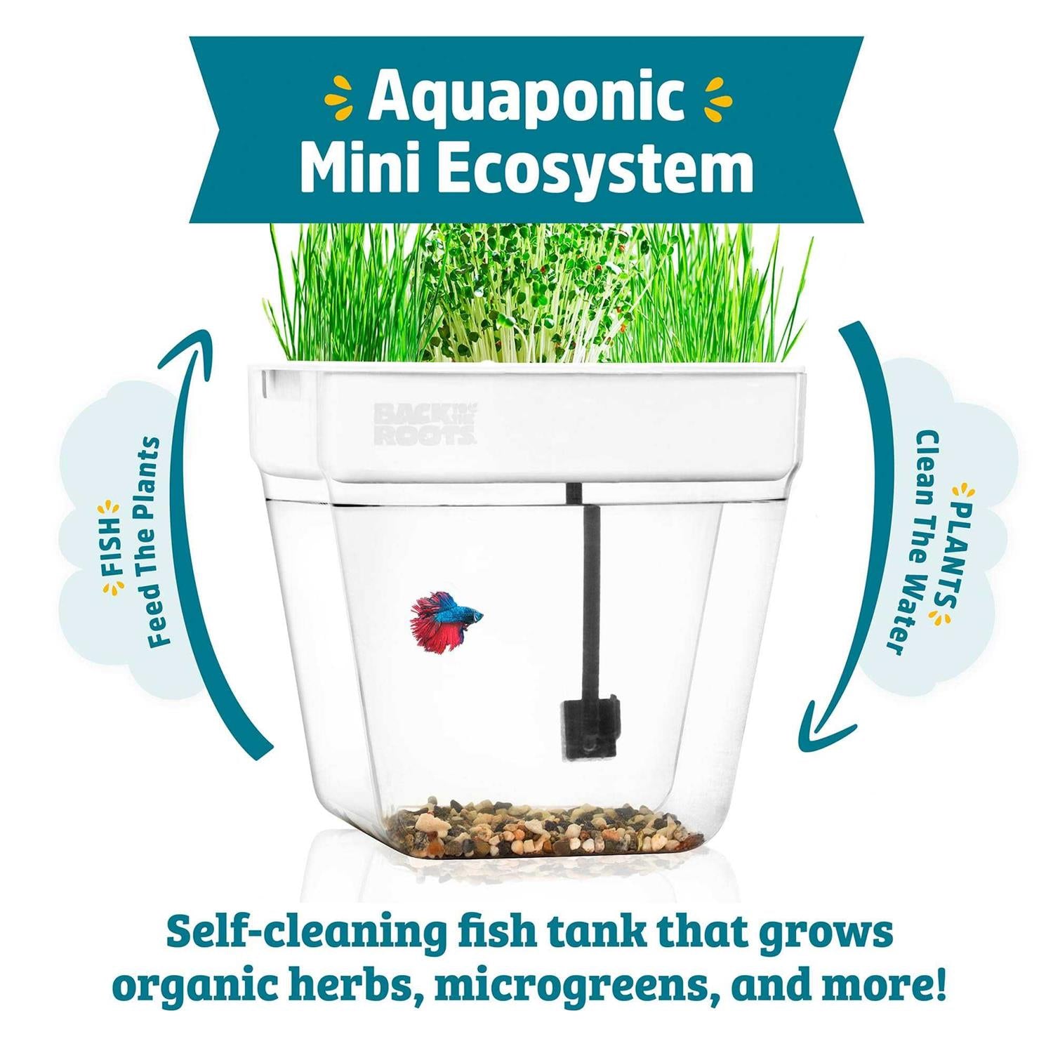 Water Garden Kit 7a