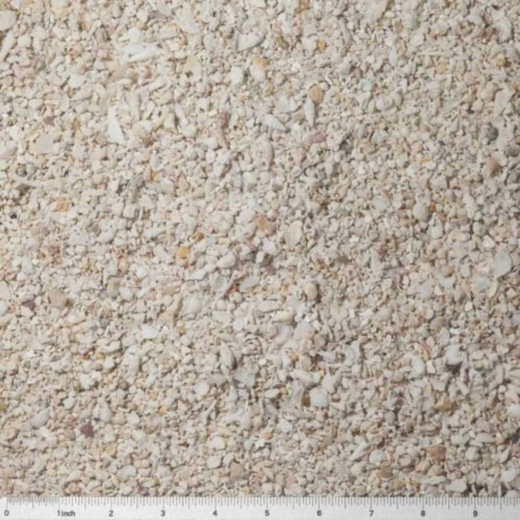 Reef Sand for Saltwater Aquariums k7
