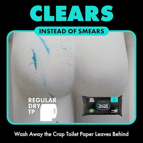 Flushable Mint Chill Adult Wet Wipes, 48 Count, Septic Safe k7m