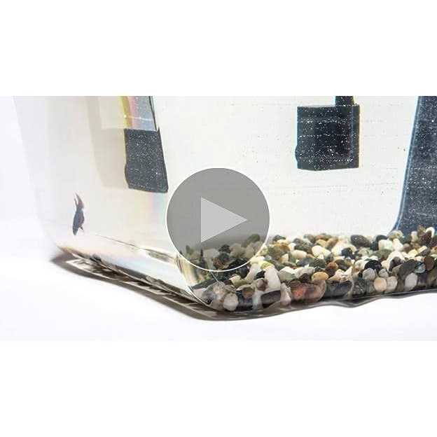 Water Garden Kit 7a