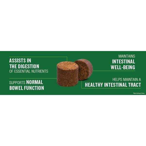 Probiotic Soft Chew Supplement for Dogs a7