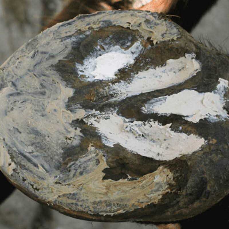Hoof Clay 750g a7