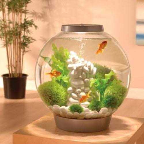 Aquarium with LED lighting 8k