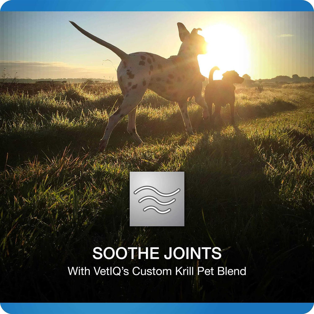 Hip and Joint Supplement for Dogs Chicken Flavored Soft Chews a7