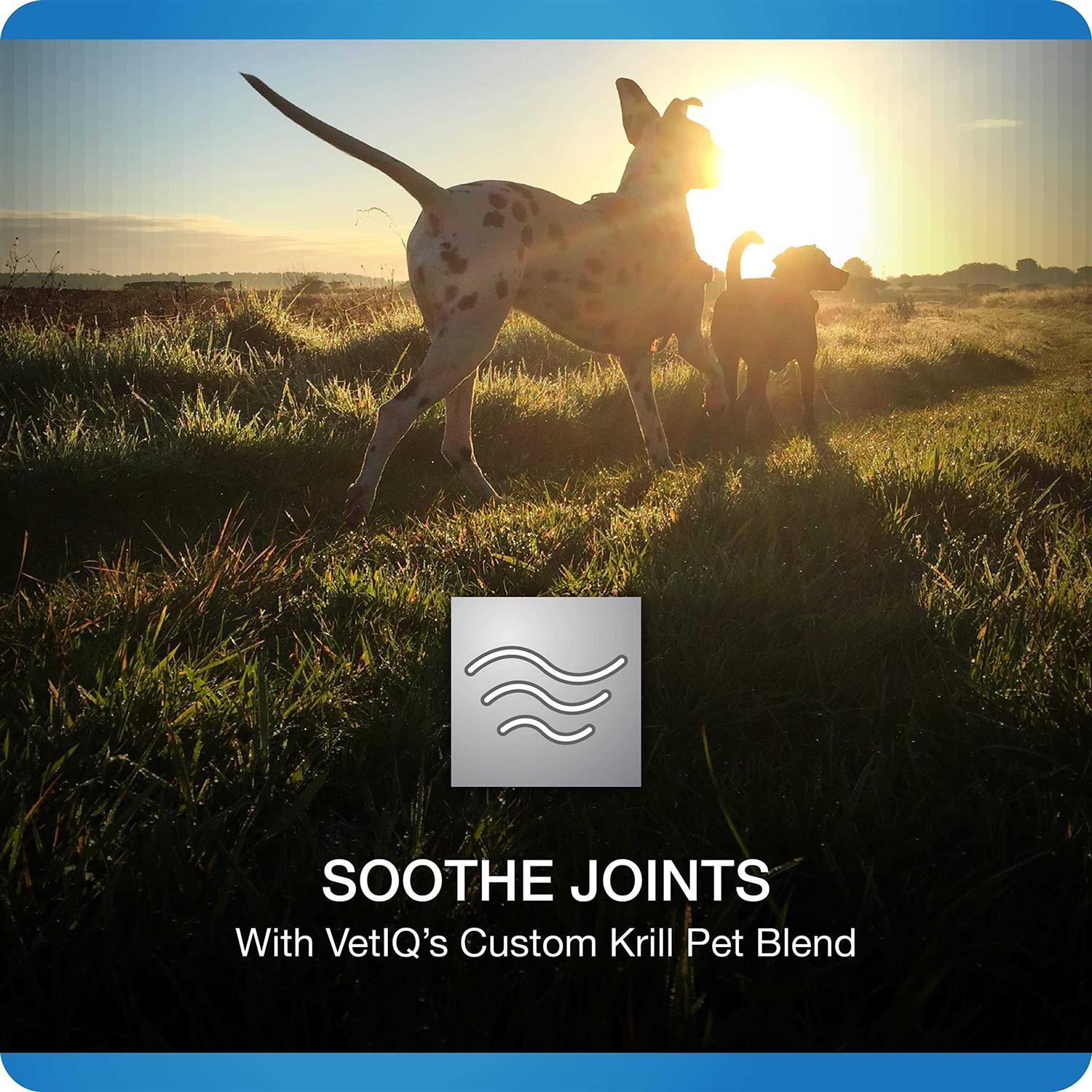 Hip and Joint Supplement for Dogs Chicken Flavored Soft Chews a7