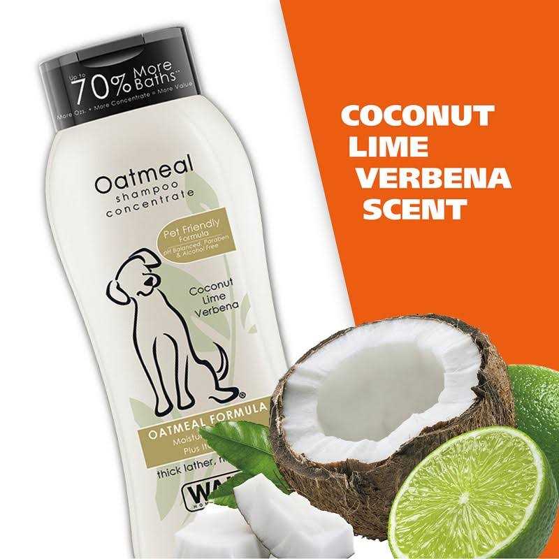 Oatmeal Coconut Lime Verbena Shampoo Concentrate k7p