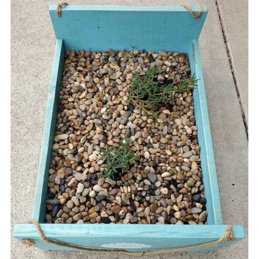 Polished River Pebbles Gravel for Plants Aquariums k7m