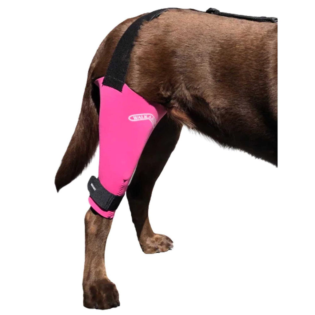 Dog Cat Knee Brace Support m7