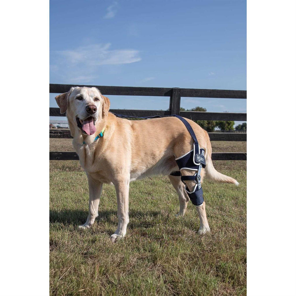 Dog Knee Brace Adjustable Hinged q7