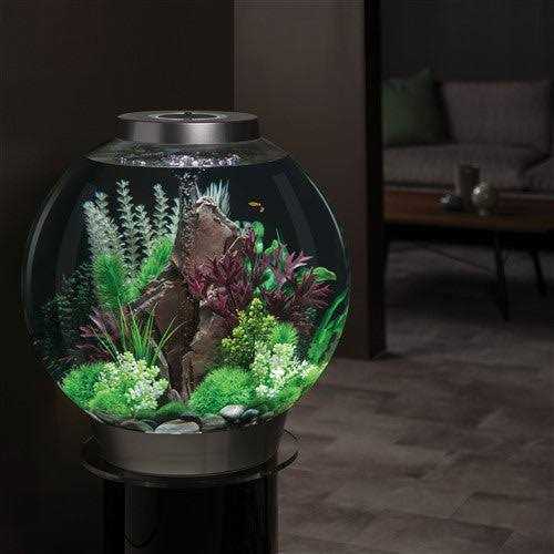 Aquarium with LED lighting 8k