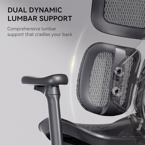 Ergonomic Office Chair with Lumbar Support and Adjustable Armrests k7m