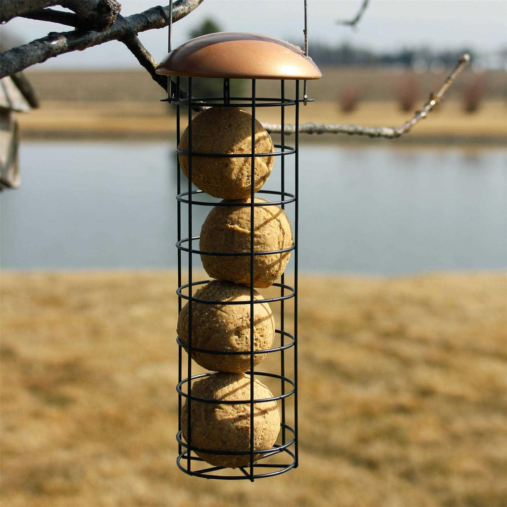 Peanut Delight Suet Dough Balls for Birds k7
