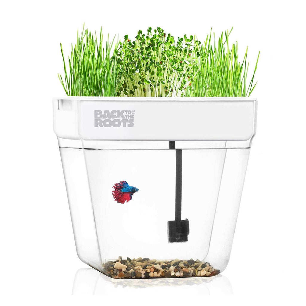 Back to the Roots Water Garden - Pet Supplies online store