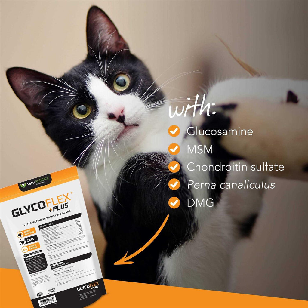 Cat Hip & Joint Support Chews k7