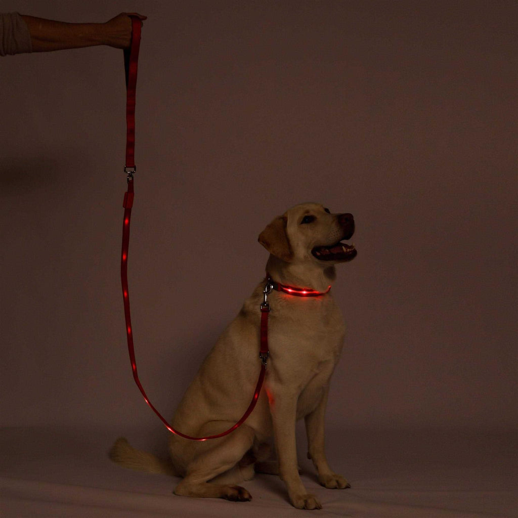 LED Dog Leash USB Rechargeable Flashing Light k7p