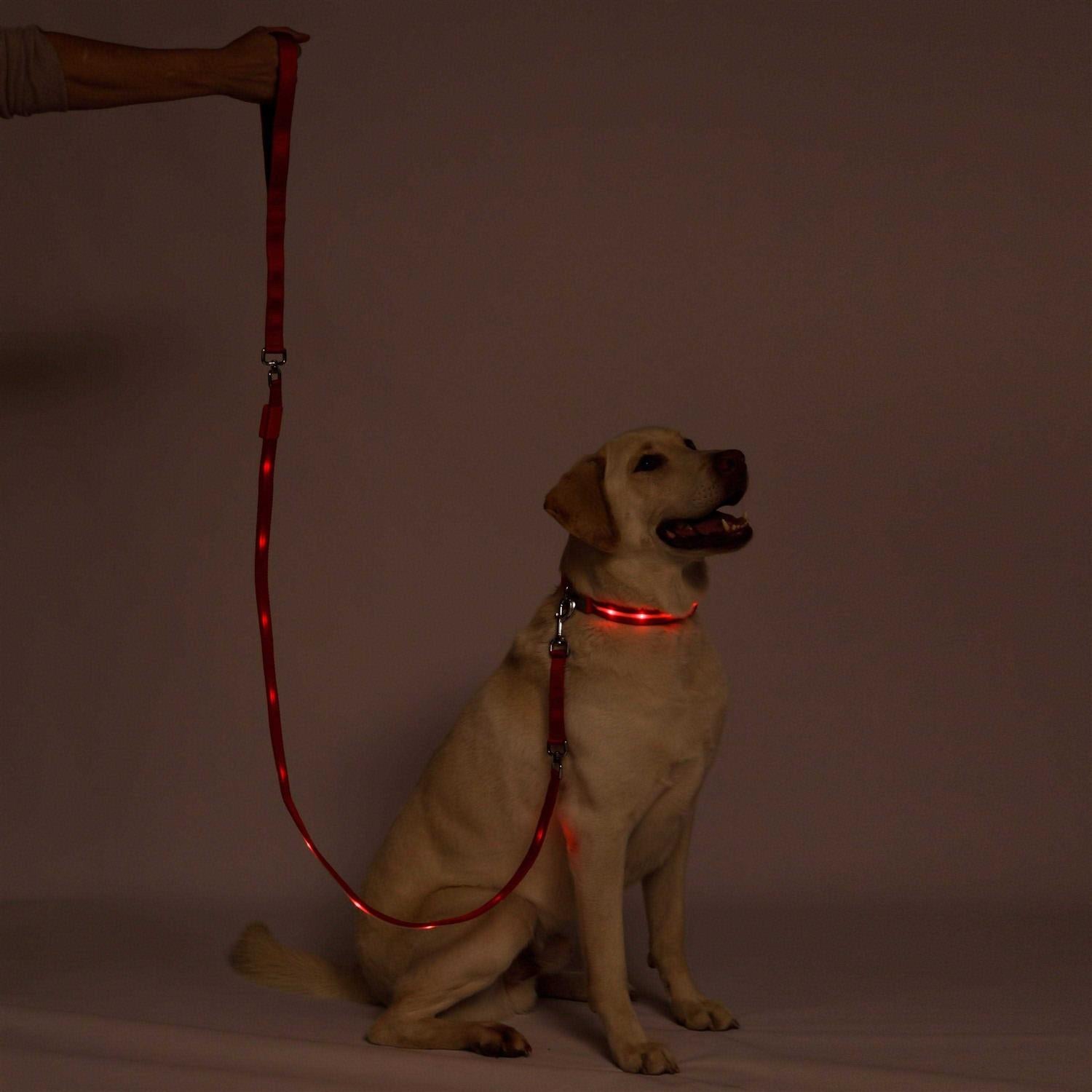 LED Dog Leash USB Rechargeable Flashing Light k7p
