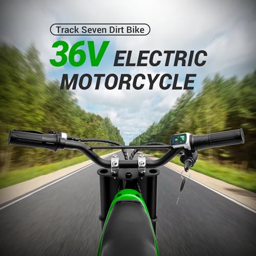 Electric Dirt Bike 350W for Kids 8-12 Pink a7