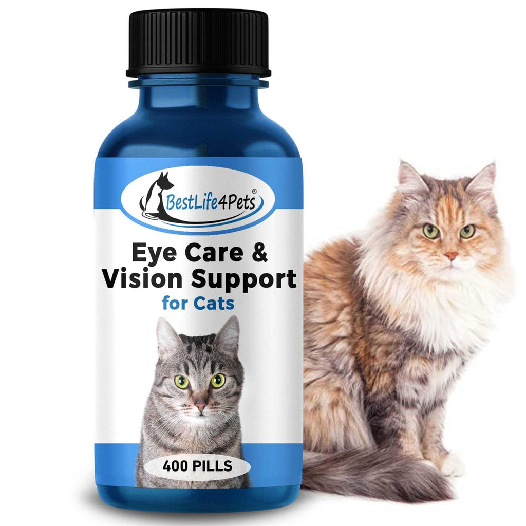 Cat Eye Care Treatment for Kittens Conjunctivitis a7