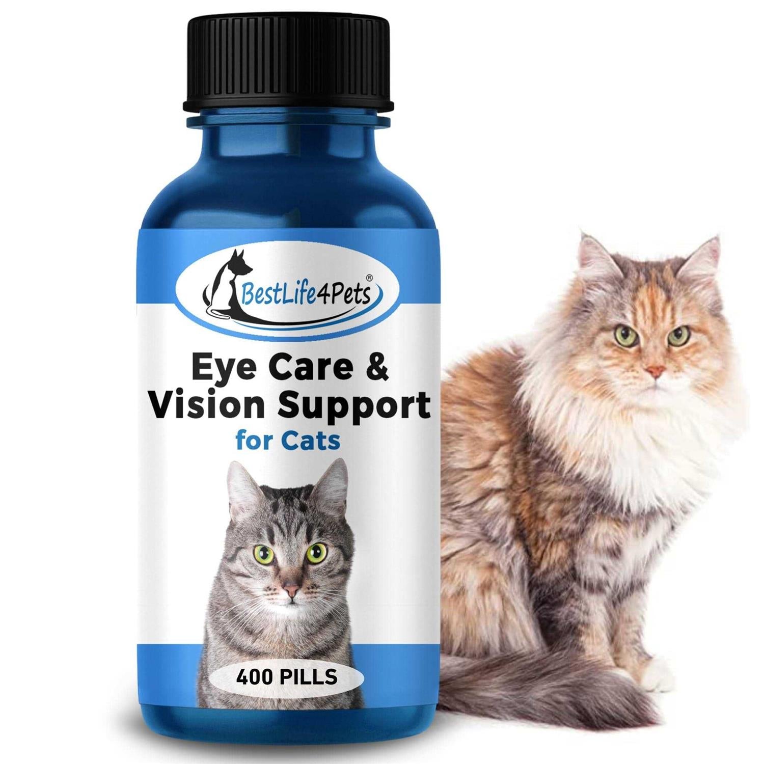 Cat Eye Care Treatment for Kittens Conjunctivitis a7