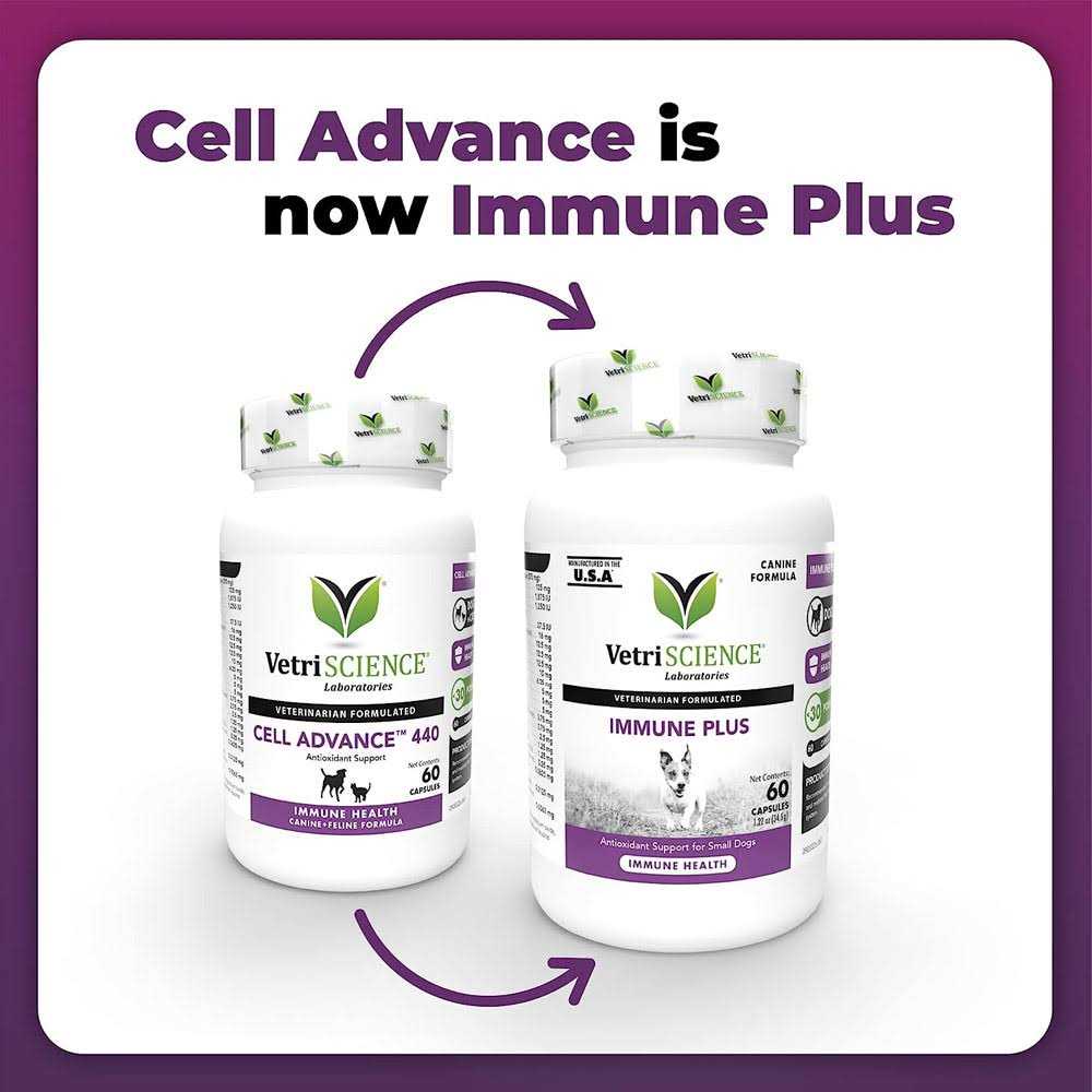 Dog Immune Support Supplement for Small Dogs a7